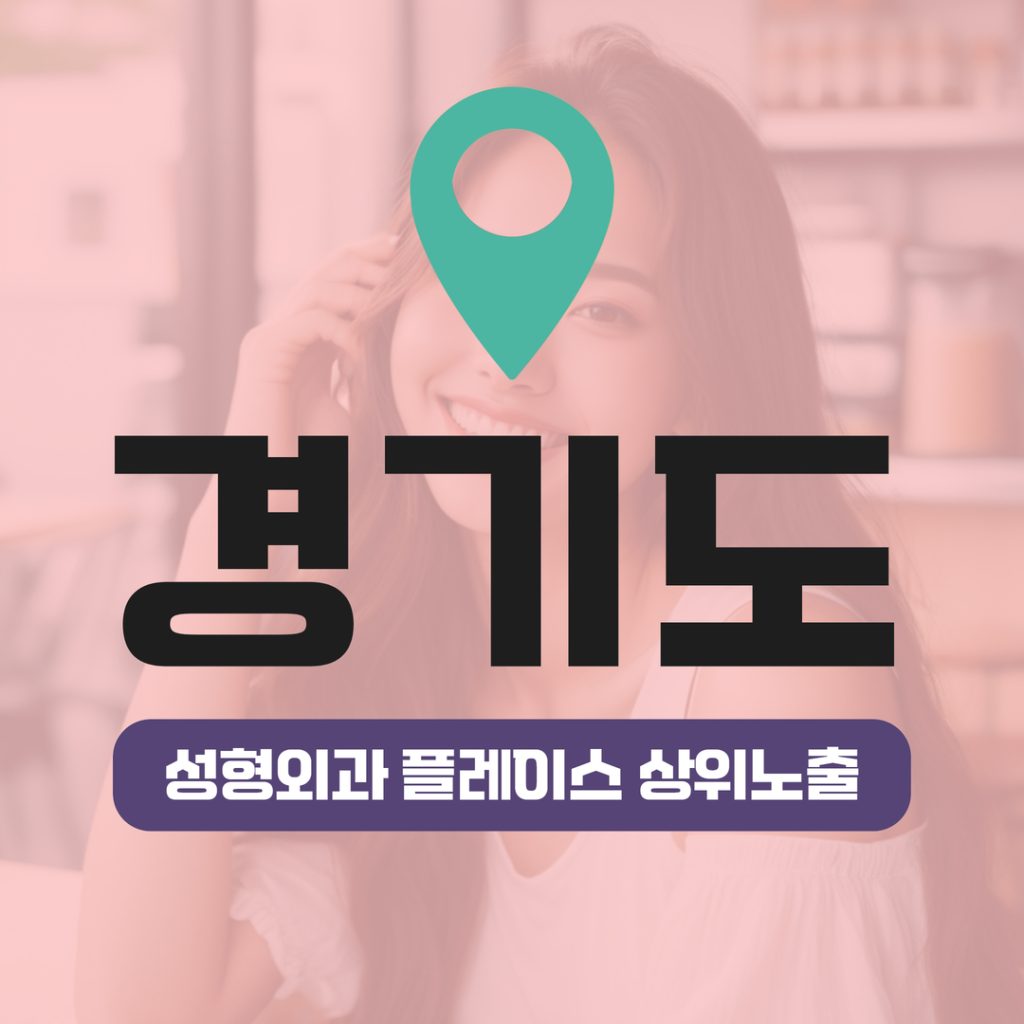 성형외과 플레이스 상위노출 (12) 경기도 리프팅 집중 노출