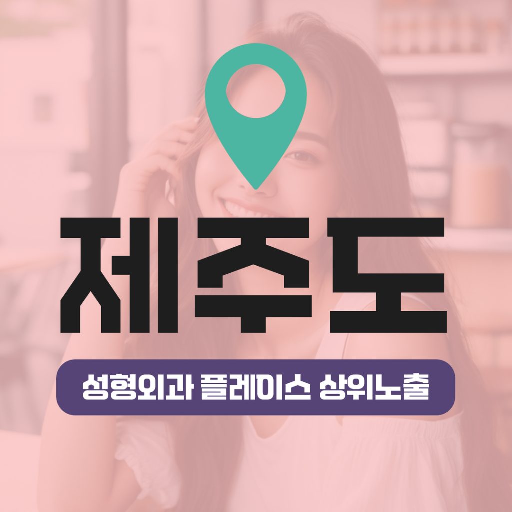 성형외과 플레이스 상위노출 (15) 제주도 리프팅·눈성형 상위노출 성공