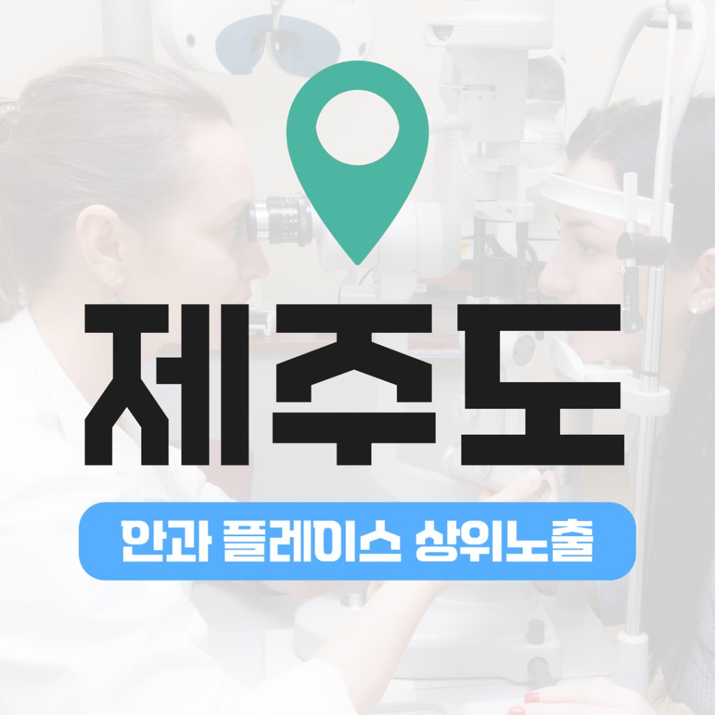 안과 플레이스 상위노출 (13) 제주도 스마일프로·라식 안과 상위노출 성공